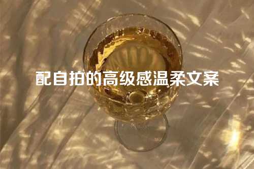 配自拍的高级感温柔文案-第1张图片-温柔治愈励志文案网