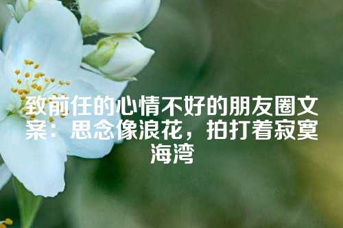 致前任的心情不好的朋友圈文案：思念像浪花，拍打着寂寞海湾