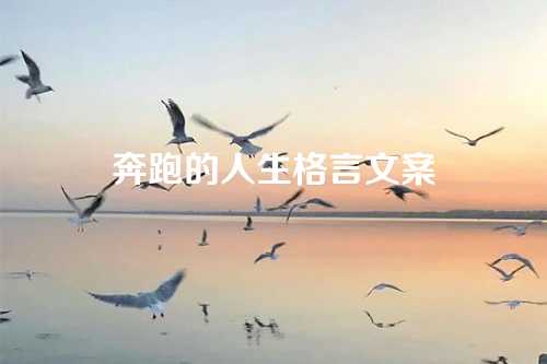 奔跑的人生格言文案