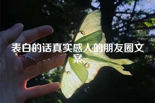 表白的话真实感人的朋友圈文案-第1张图片-温柔治愈励志文案网