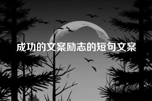 成功的文案励志的短句文案