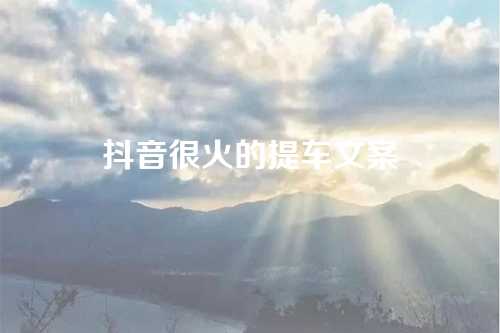 抖音很火的提车文案