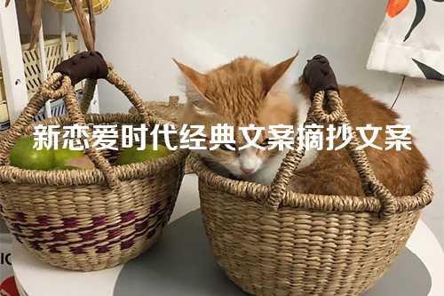 新恋爱时代经典文案摘抄文案