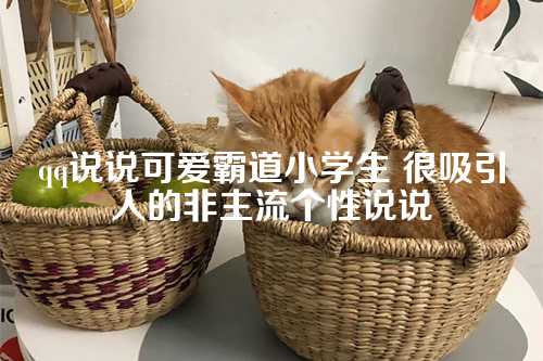 qq说说可爱霸道小学生 很吸引人的非主流个性说说