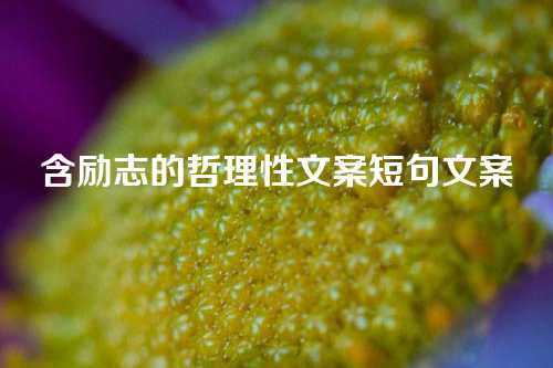 含励志的哲理性文案短句文案