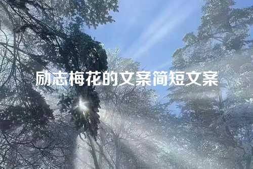 励志梅花的文案简短文案