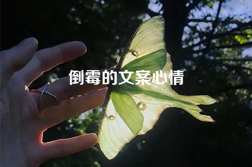 倒霉的文案心情