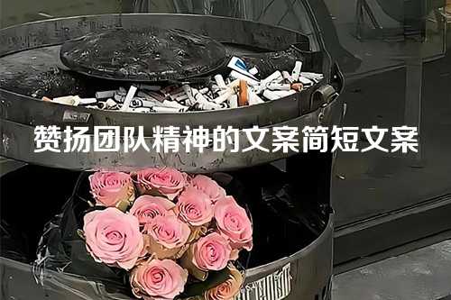 赞扬团队精神的文案简短文案