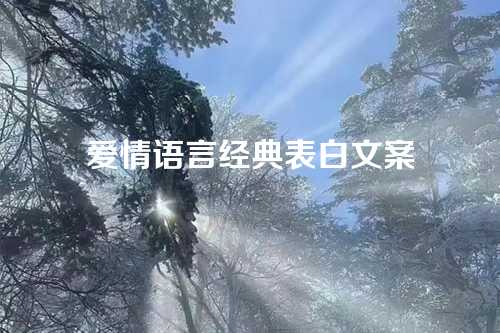 爱情语言经典表白文案