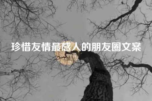 珍惜友情最感人的朋友圈文案