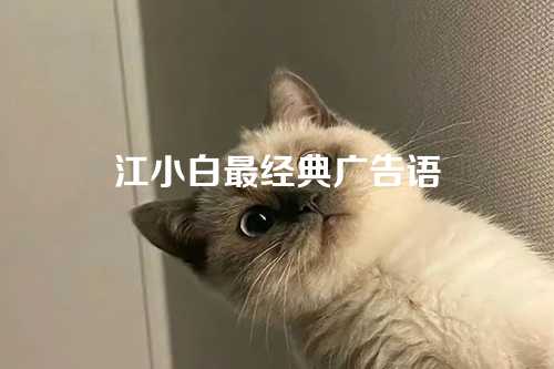 江小白最经典广告语