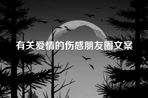 有关爱情的伤感朋友圈文案-第1张图片-温柔治愈励志文案网