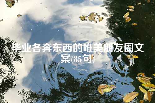 毕业各奔东西的唯美朋友圈文案(85句)-第1张图片-温柔治愈励志文案网