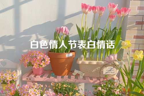 白色情人节表白情话