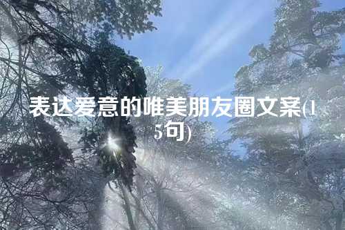 表达爱意的唯美朋友圈文案(15句)