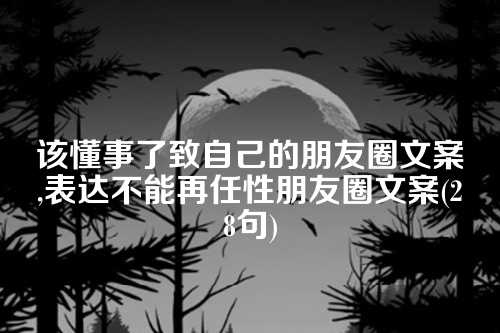 该懂事了致自己的朋友圈文案,表达不能再任性朋友圈文案(28句)-第1张图片-温柔治愈励志文案网