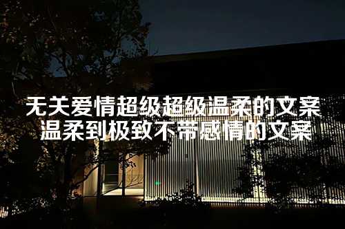 无关爱情超级超级温柔的文案 温柔到极致不带感情的文案