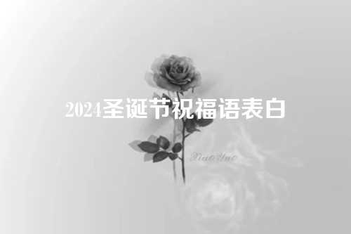 2024圣诞节祝福语表白