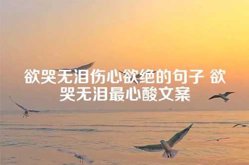 欲哭无泪伤心欲绝的句子 欲哭无泪最心酸文案-第1张图片-温柔治愈励志文案网