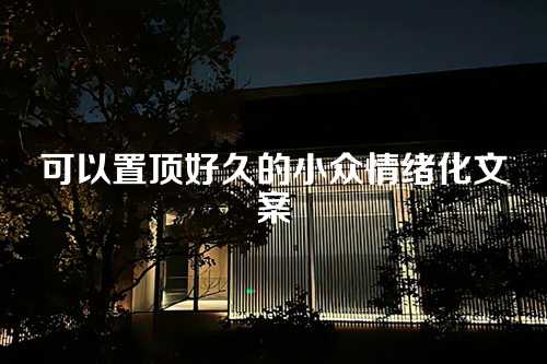 可以置顶好久的小众情绪化文案