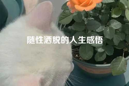 随性洒脱的人生感悟