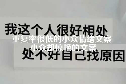 重复率很低的小众情绪文案 小众却惊艳的文案