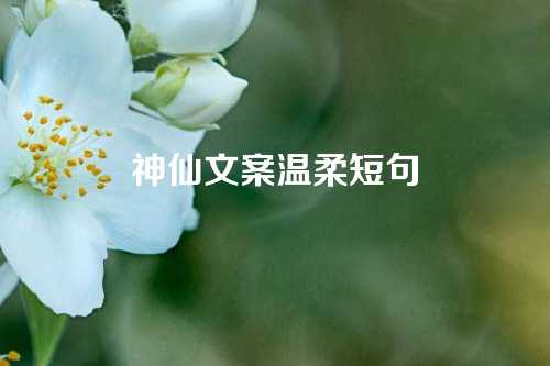 神仙文案温柔短句