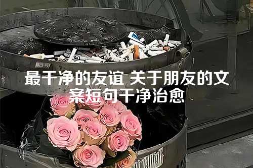 最干净的友谊 关于朋友的文案短句干净治愈