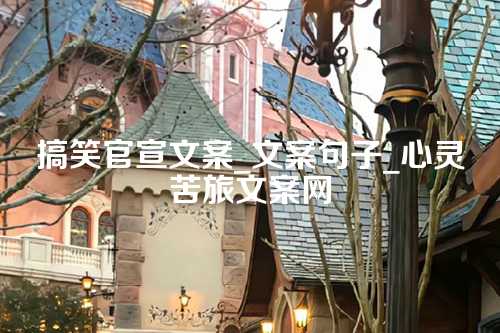 搞笑官宣文案_文案句子_心灵苦旅文案网