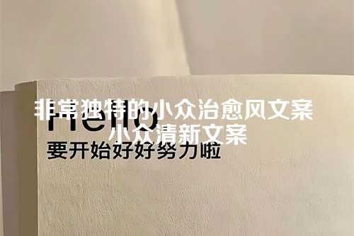 非常独特的小众治愈风文案 小众清新文案-第1张图片-温柔治愈励志文案网